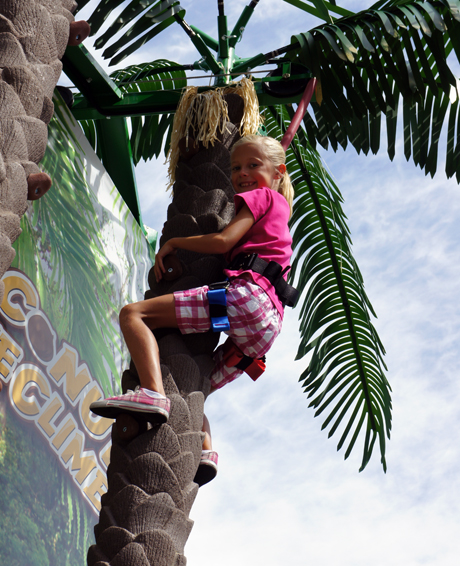 Coconut Tree Climb Girl
